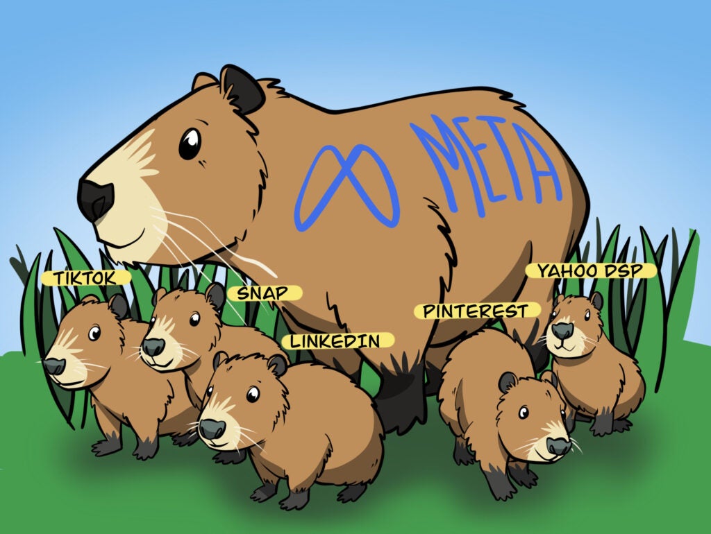 Comic: CAPI-baras
